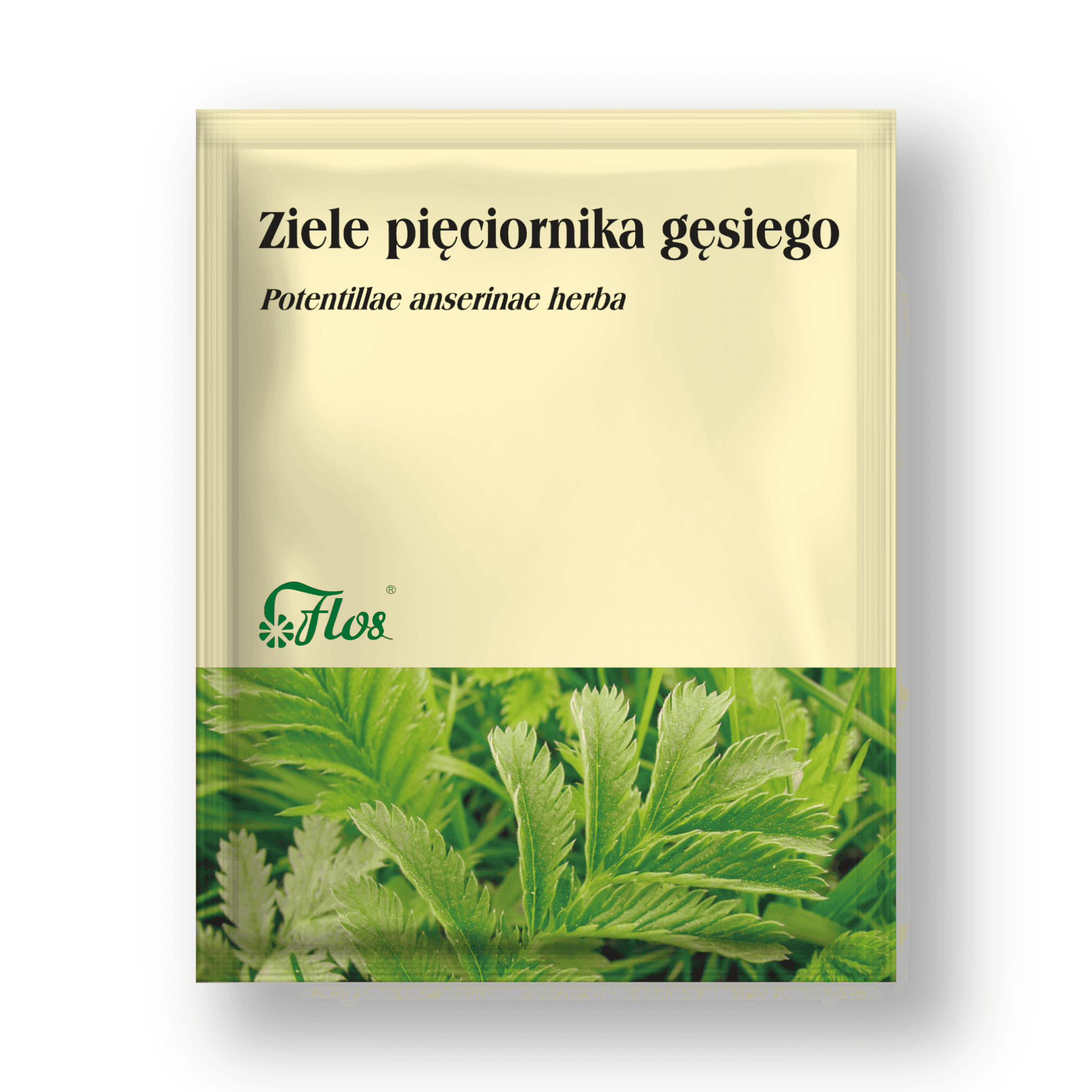 Ziele Pięciornika Gęsiego zioła do zaparzania 50 g