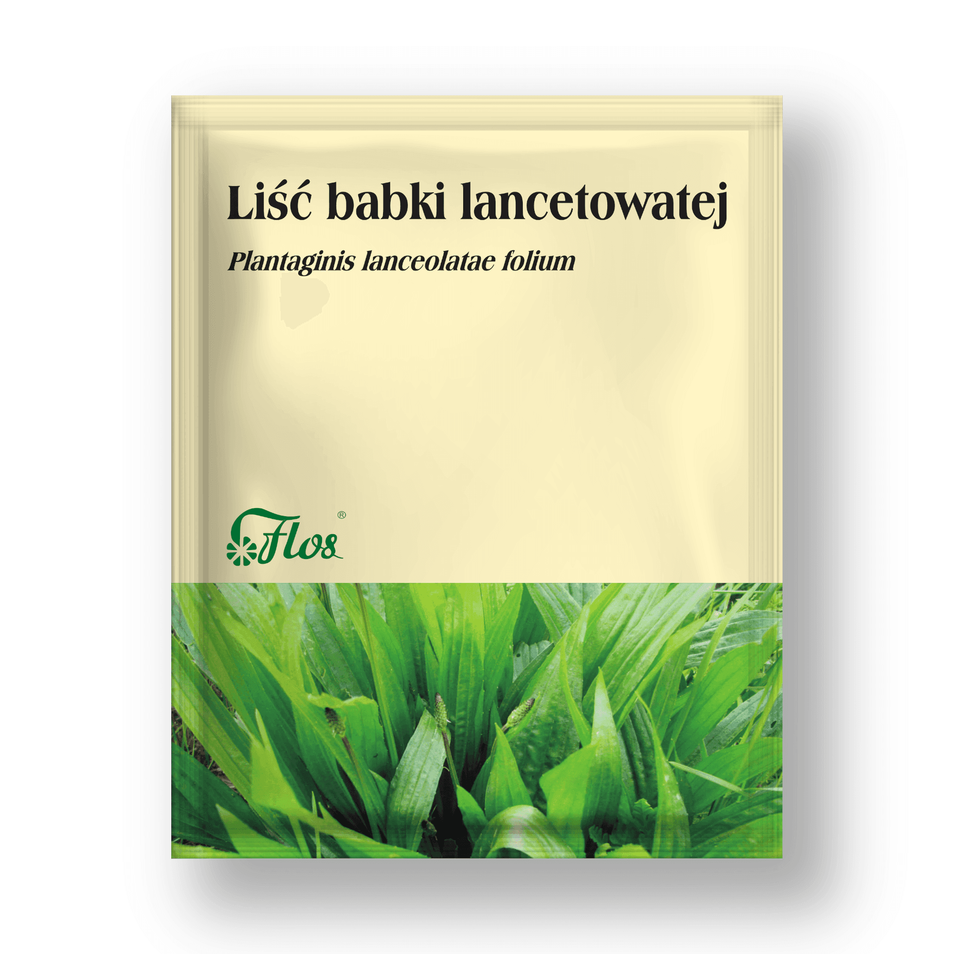 Liść Babki Lancetowej zioła do zaparzania 50g