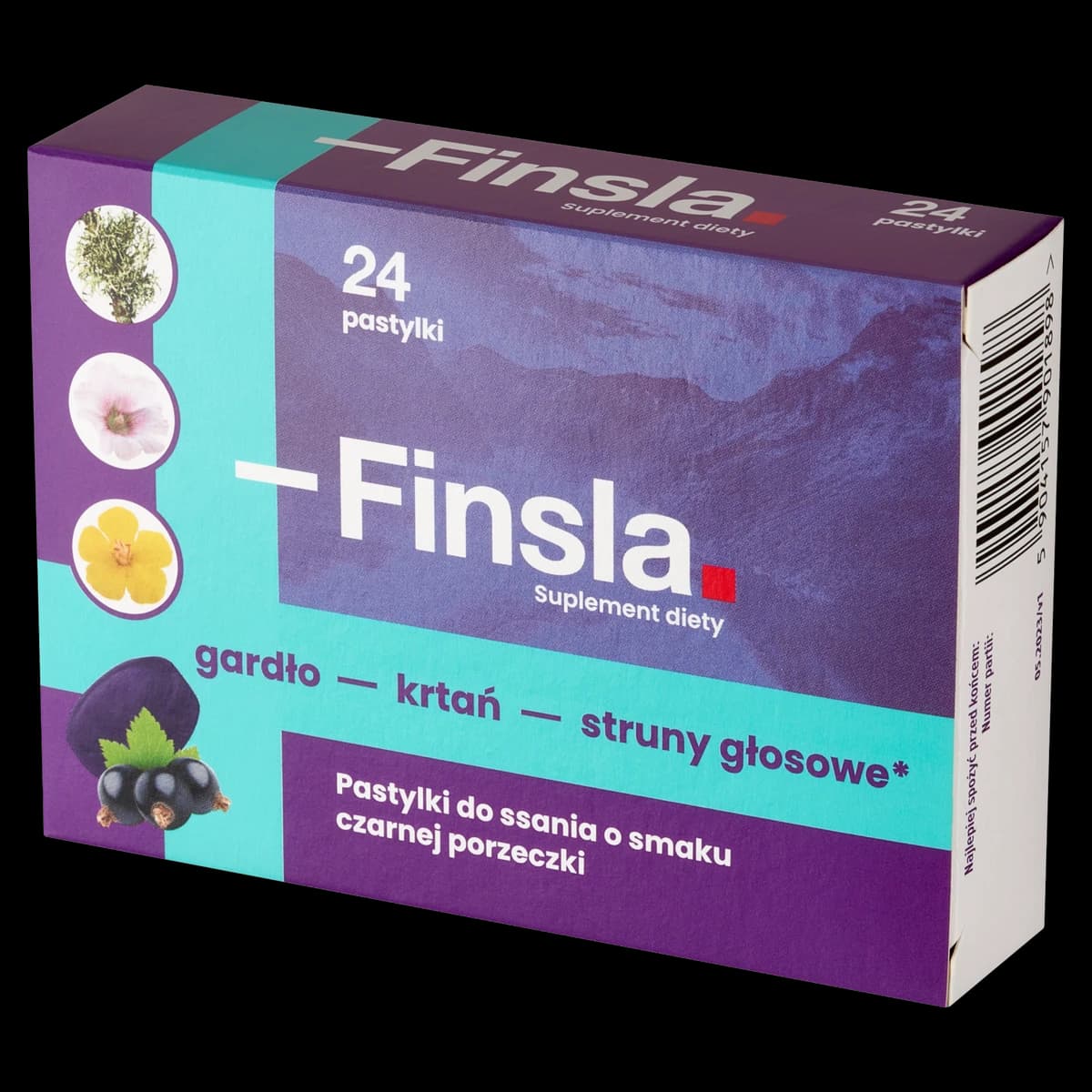 Finsla smak czarnej porzeczki 24 pastylki