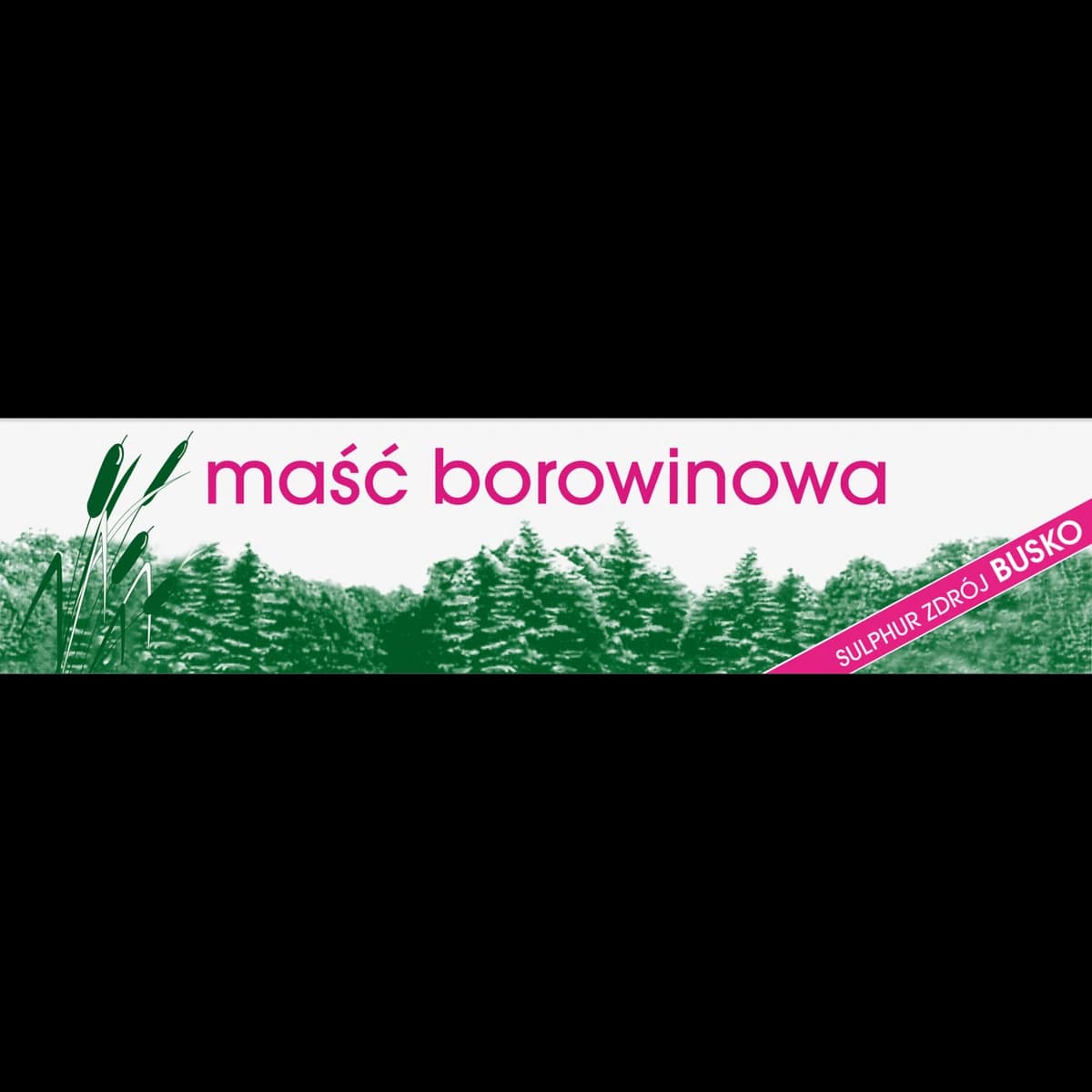 Maść Borowinowa 400 mg/g 60 g